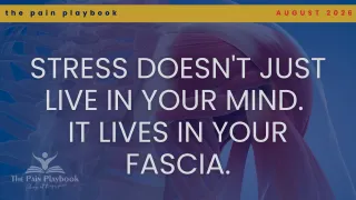 Stress Doesn't Just Live in Your Mind