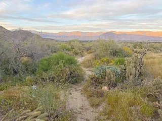 Explore Anza-Borrego Desert State Park from The Springs at Borrego RV Resort