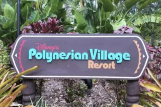 Disney's Polynesian Village Resort Guide: Ultimate Insights on Food, Vibes, and the New Island Tower