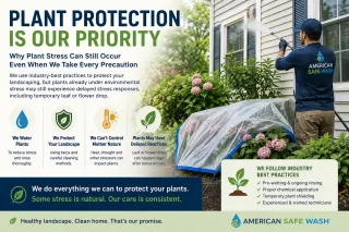 Understanding Plant Stress During Exterior Cleaning