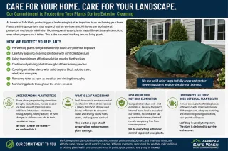 Understanding Plant Stress During Exterior Cleaning