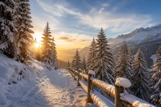 Seasonal Travel Advice
