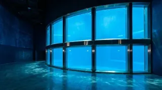 Esterilización de Acuarios Marinos y Hábitats de Tiburones