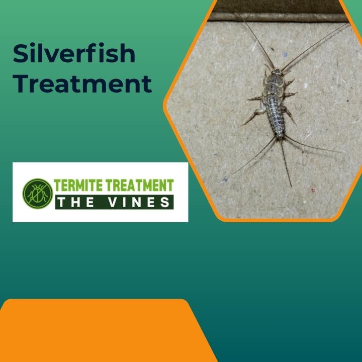 Silverfish Treatment Methods to Protect Books and Furniture in Perth