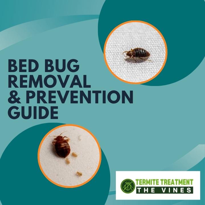 Bed Bugs: How to Find, Remove, and Prevent Infestations in Your Home