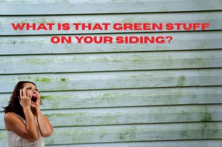 Why Your Syracuse Home's Siding Looks Green (And How to Fix It)