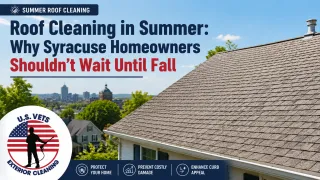 Roof Cleaning in Summer: Why Syracuse Homeowners Shouldn't Wait Until Fall