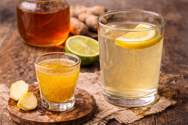 Gut Tonic Drinks
