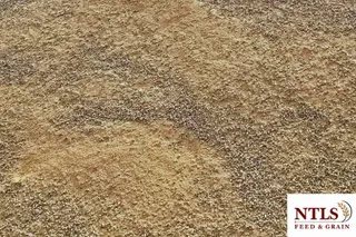 Soy Hull Pellets for Cattle: Nutrition, Feeding Tips & Bulk Delivery