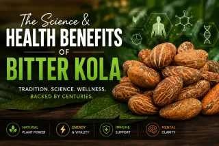 The Science & Health Benefits of Bitter Kola: What Makes It So Powerful?