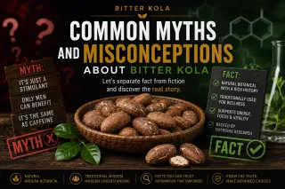 Common Myths and Misconceptions About Bitter Kola