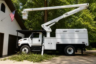What Affects Tree Removal Costs in South Jordan?