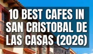 The Best Cafes in San Cristobal de las Casas: Coffee, Food & Atmosphere (2026)