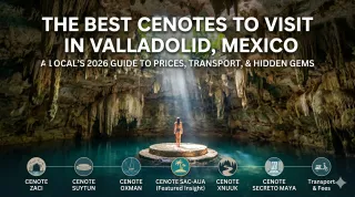 The Best Cenotes to Visit in Valladolid, Mexico