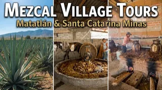 Mezcal Village Tours: Matatlán & Santa Catarina Minas