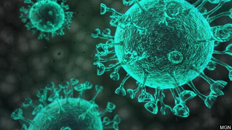 Coronavirus (Covid-19) & The Precautions We Are Taking At The Clinic
