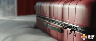 The Suitcase With No Handle: Find Your Book's Message | Ruth Klein