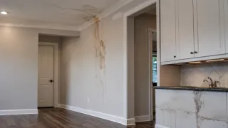 Hidden Water Damage: Signs Homeowners Should Not Ignore