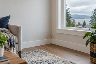 Signs of Hidden Moisture in Your Property | Landall