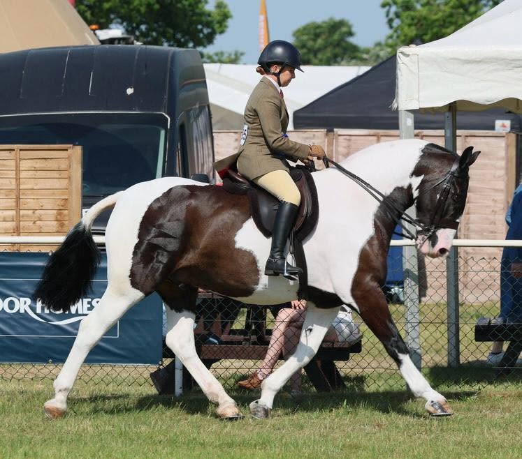 Suffolk County Show | Red Requesst