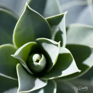 The Five Faces You Wear Without Realizing It