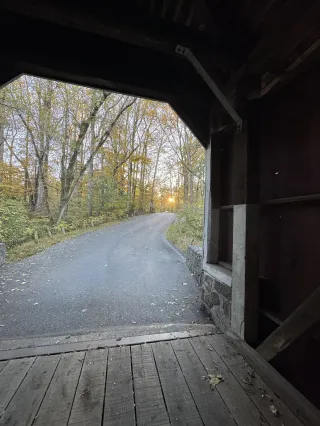 The Middle Seat Generation