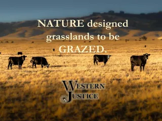 We Need Your Help to Prove Livestock Are Not The Problem 