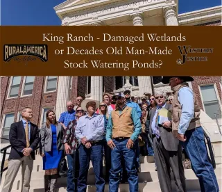 Damaged Wetlands or Decades Old Man-Made Stock Watering Ponds?