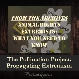 The Pollination Project: Propagating Extremism
