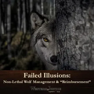 Failed Illusions: Non-Lethal Wolf Management & “Reimbursement”