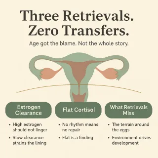 Failed IVF, Zero Transfers: What Retrievals Missed
