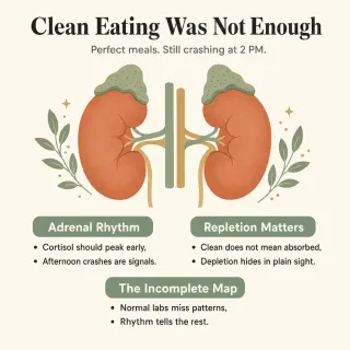 Clean Eating Wasn't Enough: Adrenals & Fertility