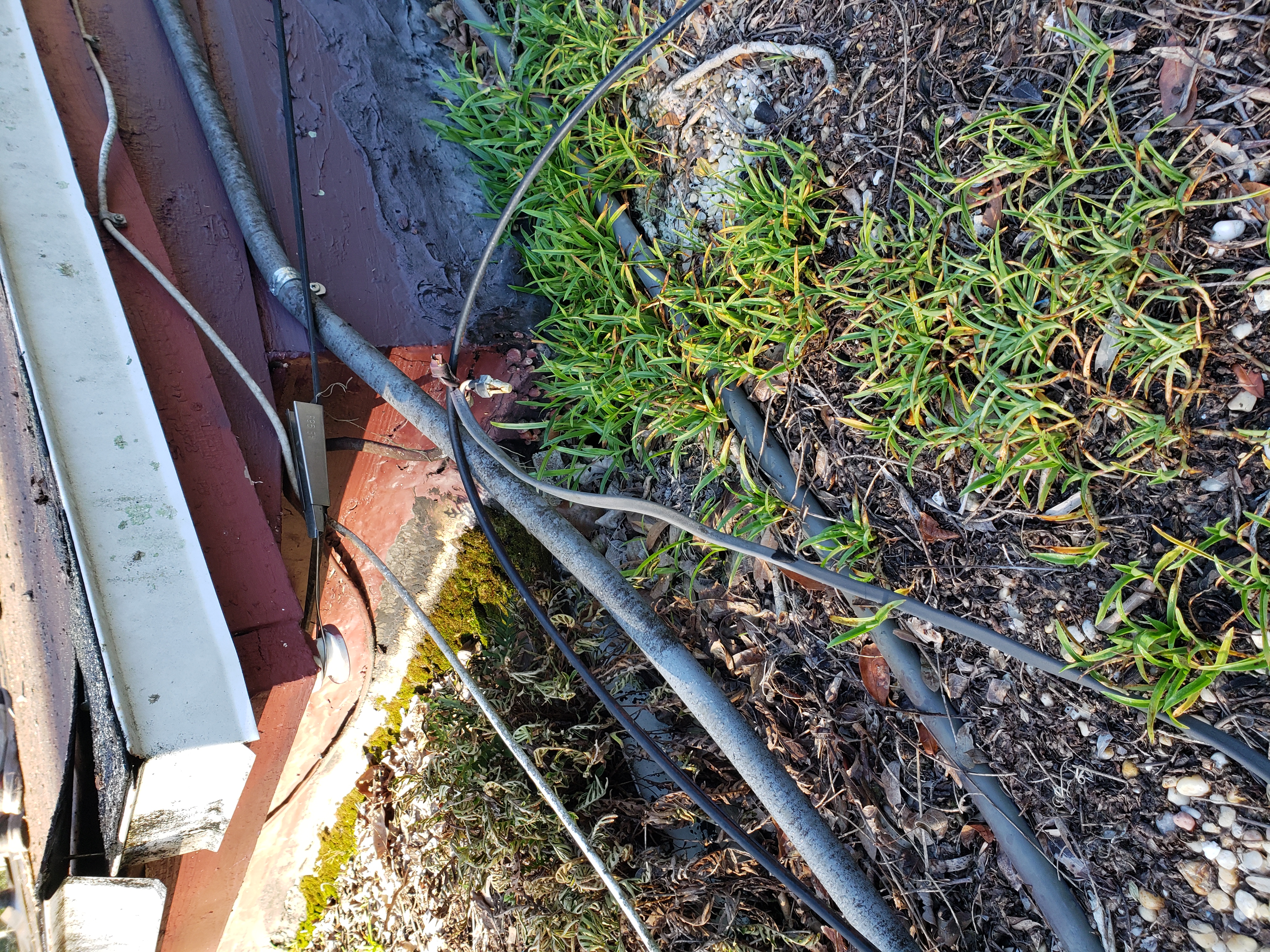 10 Warning Signs Your Jacksonville Roof Needs Immediate Attention Before It Starts Leaking