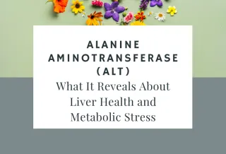 Alanine Aminotransferase (ALT): What It Reveals About Liver Health and Metabolic Stress