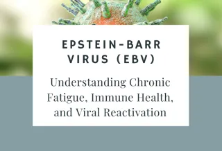 Epstein-Barr Virus (EBV): Understanding Chronic Fatigue, Immune Health, and Viral Reactivation
