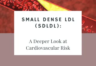 Small Dense LDL (sdLDL): A Deeper Look at Cardiovascular Risk