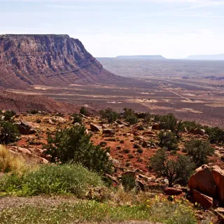 Spring Is In The Air