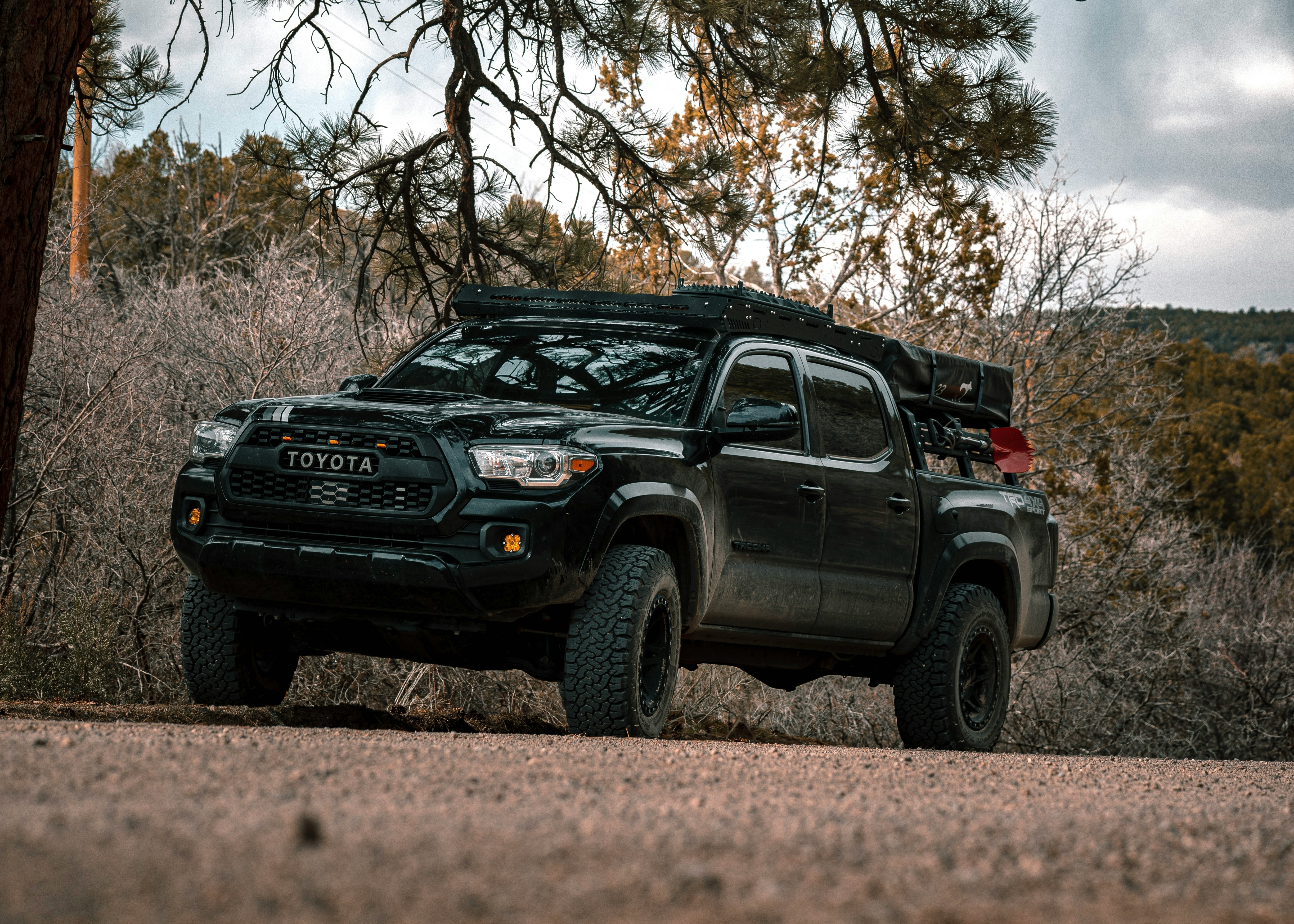 Why Unusual Vibrations Might Point to a Suspension Issue