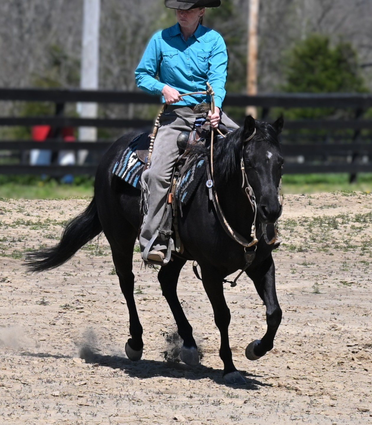 What's Happening at the Ranch – May