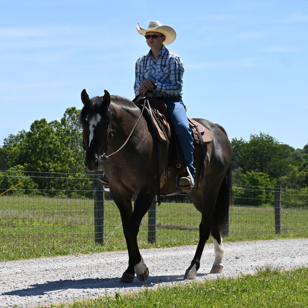 7 Mistakes We See People Make When Buying a Horse (And How to Avoid Them)
