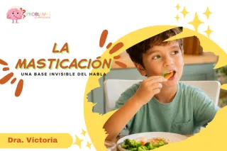 FUNCIÓN PREFÓNICA 3: MASTICACIÓN
