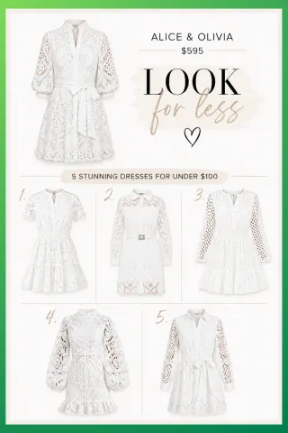 Eyelet Embroidery Mini Dress | Alice Olivia Look for Less