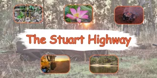 The Stuart Highway Series