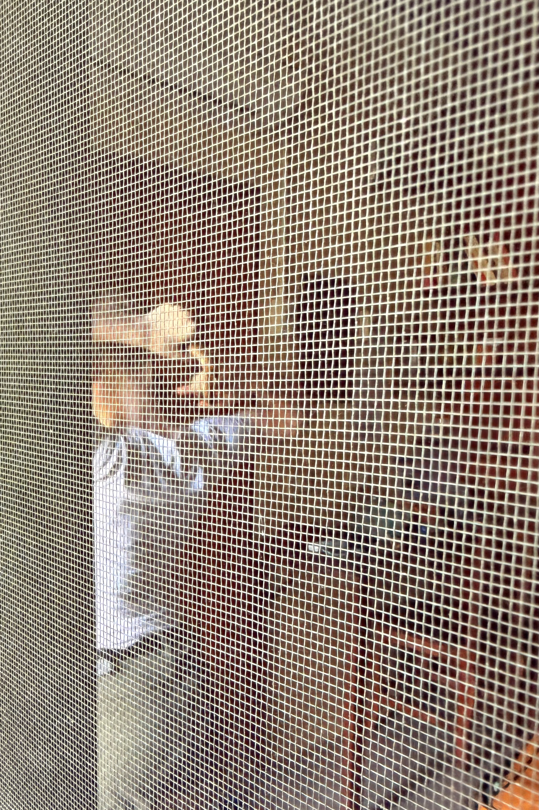 Kind van de Bloedlijn