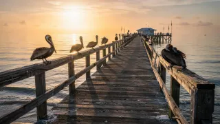 Sell House As Is Fort Pierce: Your Options When You Can't Fix It Up