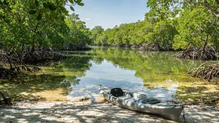 We Buy Houses Port St. Lucie: How a Fast Cash Sale Really Works