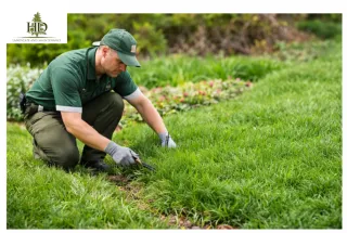 Why Seasonal Landscape Service Matter for lawn maintenance