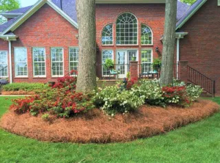 Mulch Installation Guide: Best Types, Timing and How Much You Need