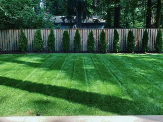 30 Landscaping Ideas for Easy Upkeep of Your Front Yard