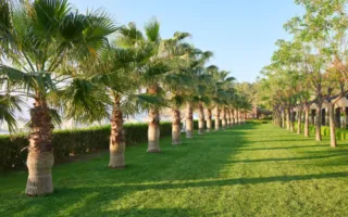 Landscape Gardener in Lake Oswego, OR: Costs & Services